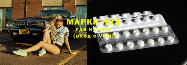 кокс Касимов