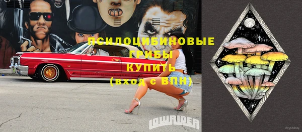 трава Каменногорск