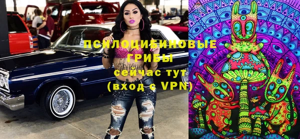 дмт Каменка