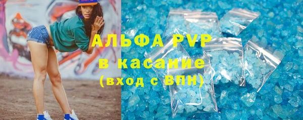 кокс Касимов