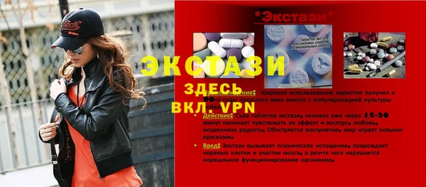 дмт Каменка