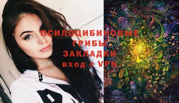 дмт Каменка