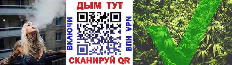 Купить где  Снежногорск  Канабис White Widow 